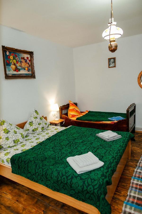 Гостевой дом Casa Pe Valea Hartibaciului Barcut Экстерьер фото