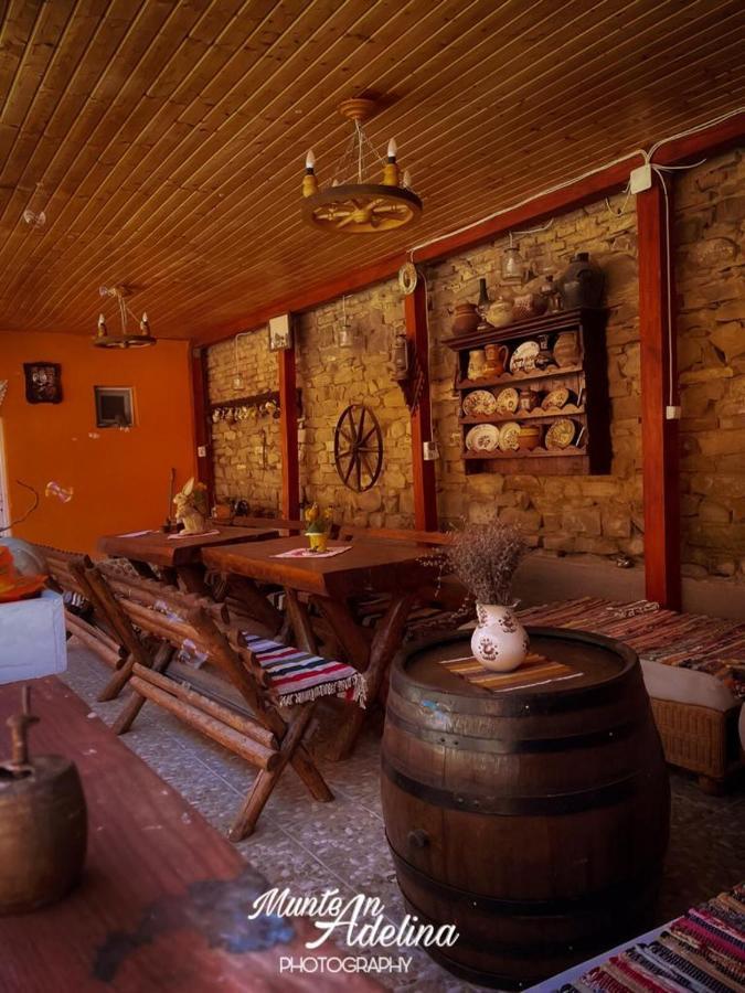Гостевой дом Casa Pe Valea Hartibaciului Barcut Экстерьер фото