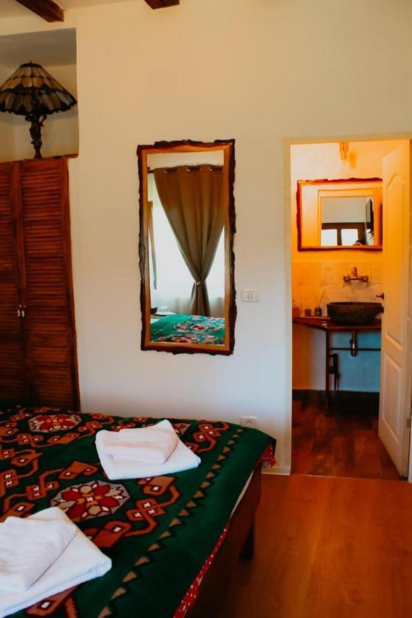Гостевой дом Casa Pe Valea Hartibaciului Barcut Экстерьер фото