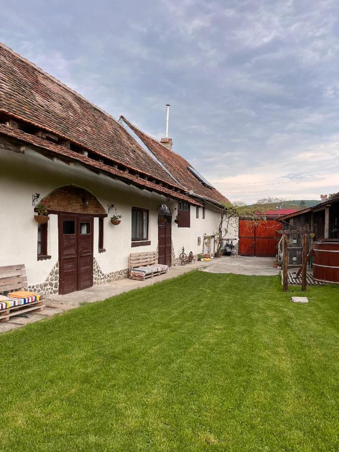 Гостевой дом Casa Pe Valea Hartibaciului Barcut Экстерьер фото