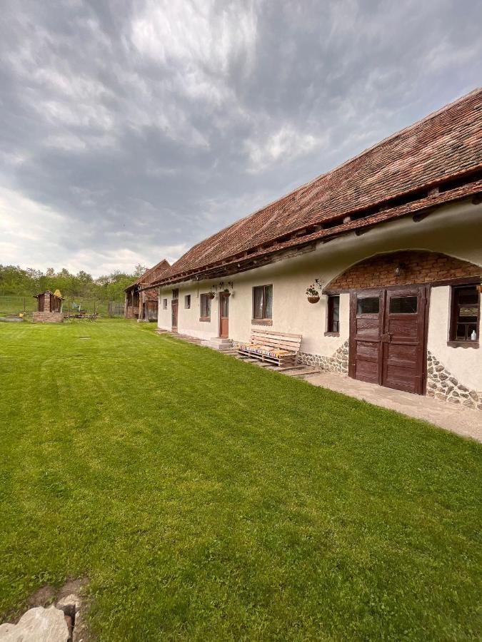 Гостевой дом Casa Pe Valea Hartibaciului Barcut Экстерьер фото