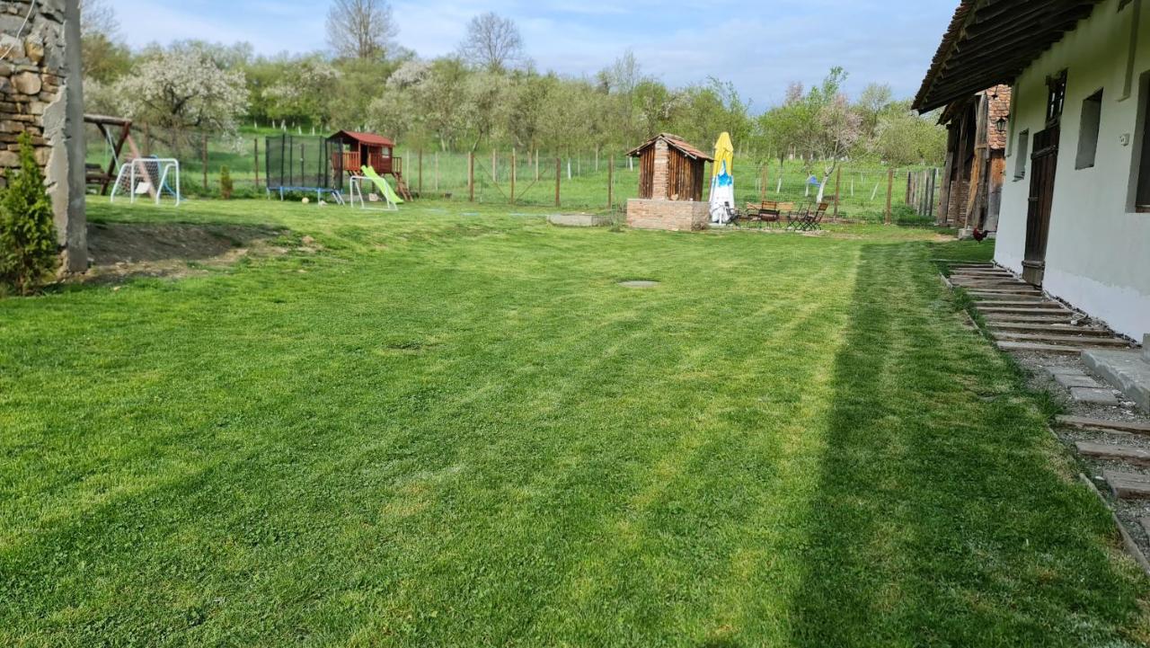 Гостевой дом Casa Pe Valea Hartibaciului Barcut Экстерьер фото