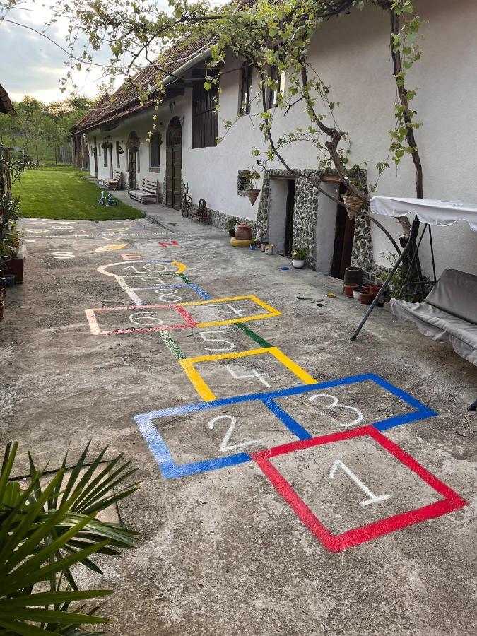 Гостевой дом Casa Pe Valea Hartibaciului Barcut Экстерьер фото