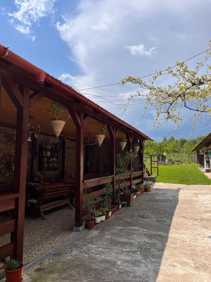 Гостевой дом Casa Pe Valea Hartibaciului Barcut Экстерьер фото