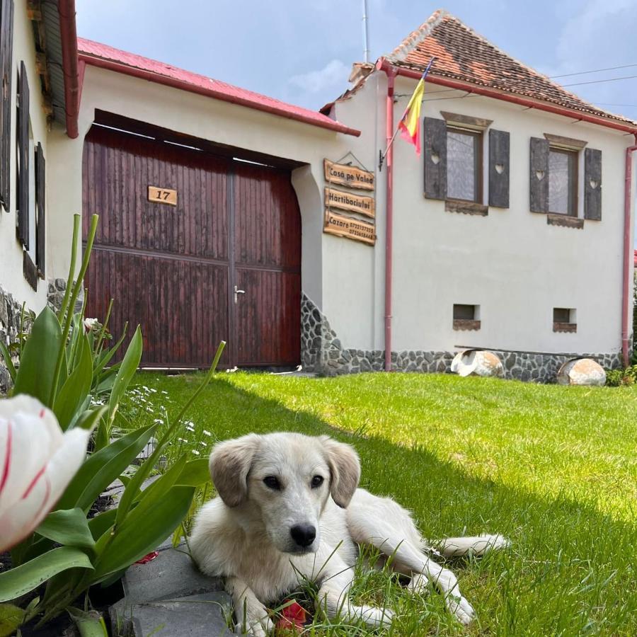 Гостевой дом Casa Pe Valea Hartibaciului Barcut Экстерьер фото