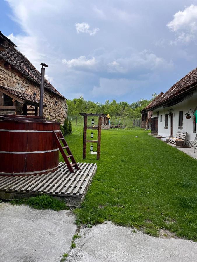 Гостевой дом Casa Pe Valea Hartibaciului Barcut Экстерьер фото